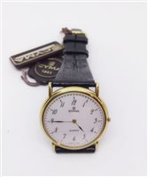 Correa Cyma 131.100.34